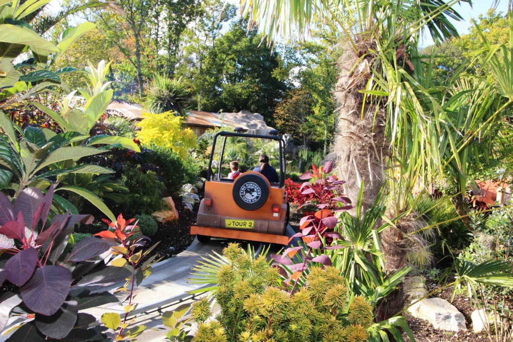Gardens in Lost Kingdom